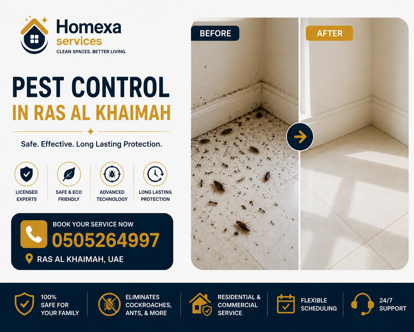 Pest control site inspection in Ras Al Khaimah