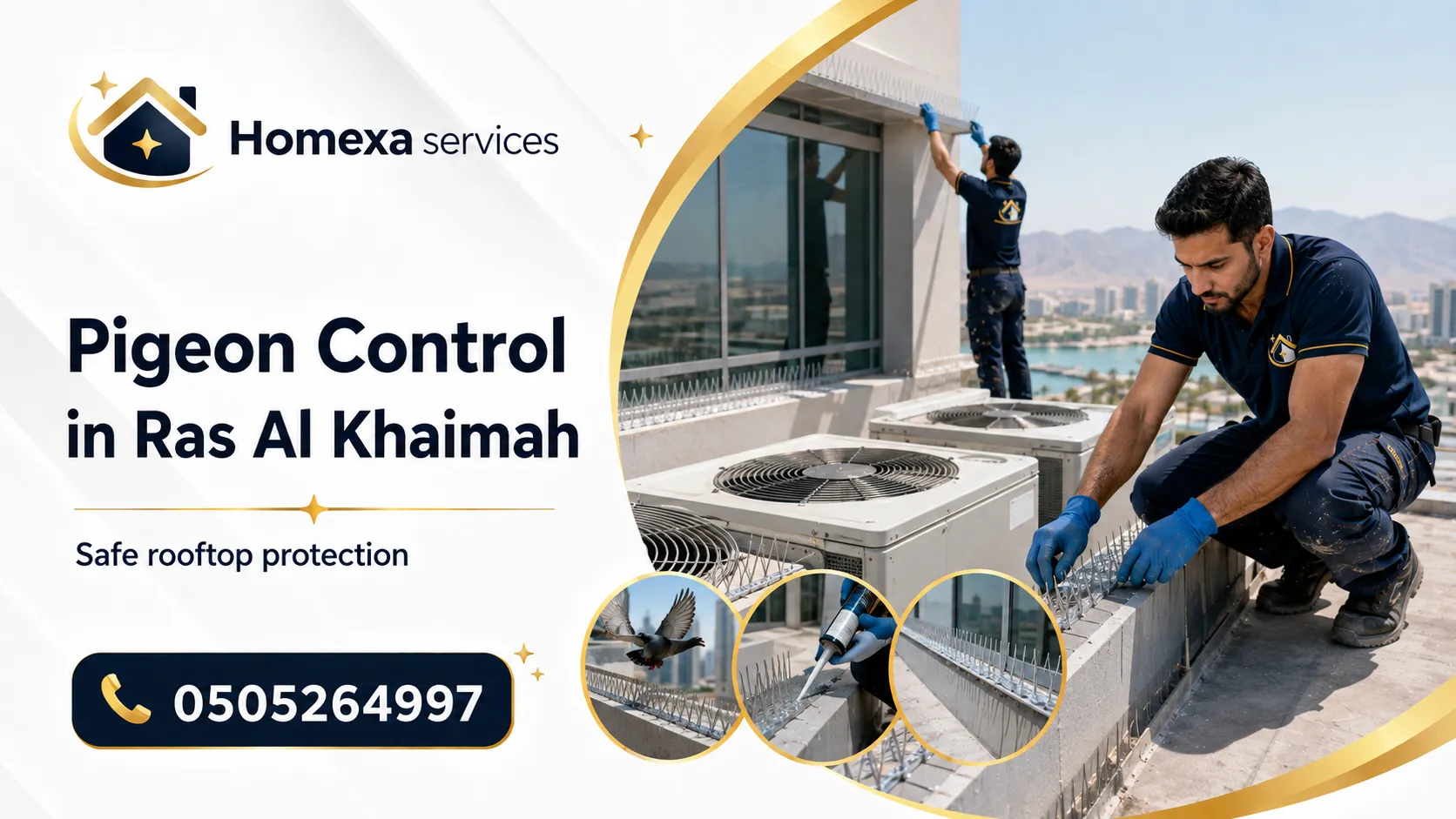 Pigeon Control in Ras Al Khaimah for recurring pigeons on roofs balconies and building ledges