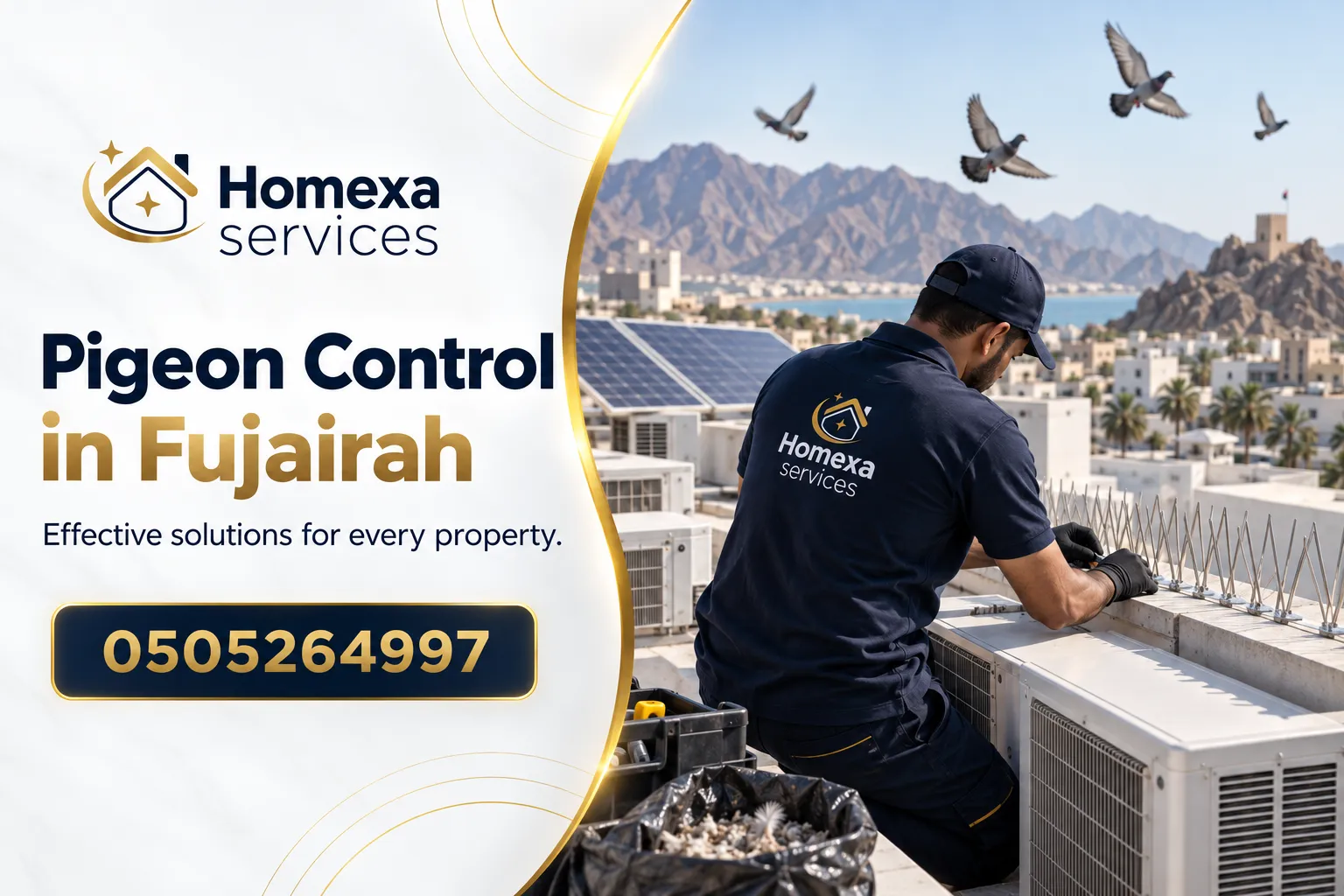 Final Pigeon Control in Fujairah assessment and bird deterrent planning