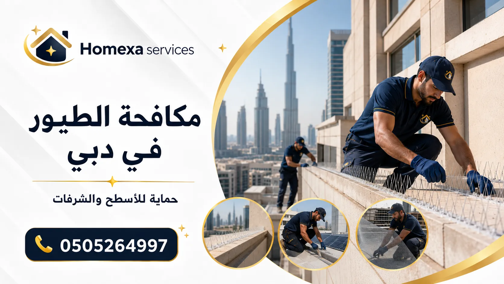مكافحة الطيور في دبي مع Homexa Services