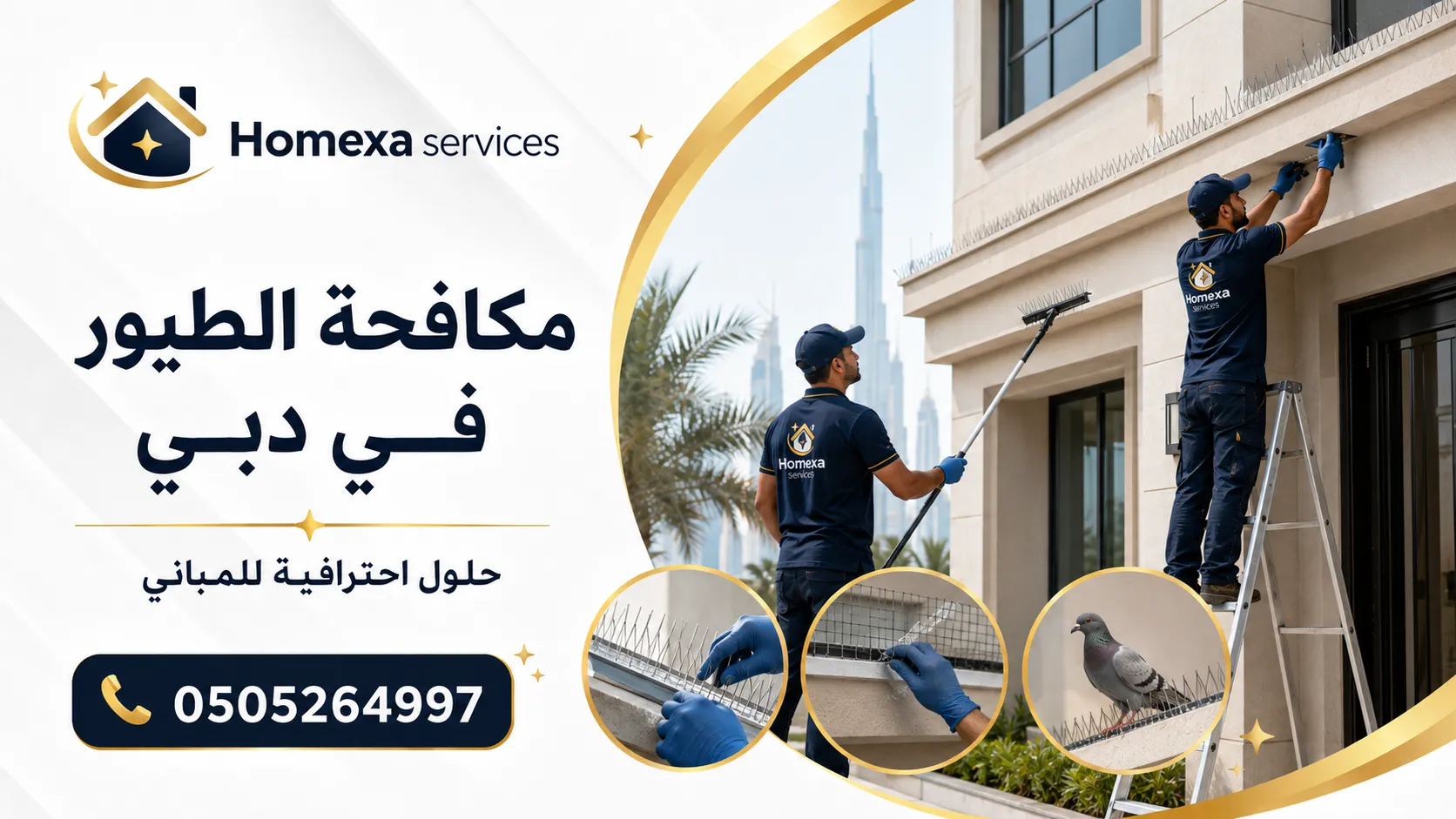 حجز خدمة مكافحة الطيور في دبي مع Homexa Services